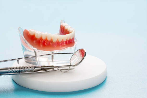 Professional  Holistic Dental Services in Justice, IL